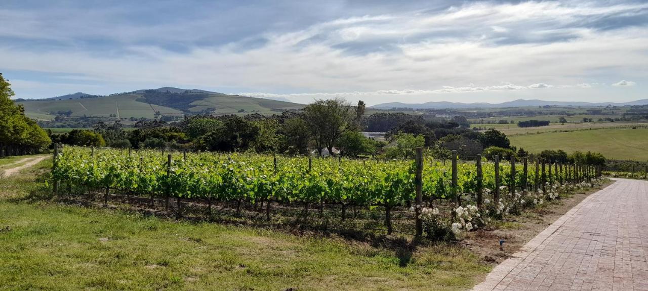 Deux Freres Wine Estate & Luxury Villas Stellenbosch Luaran gambar