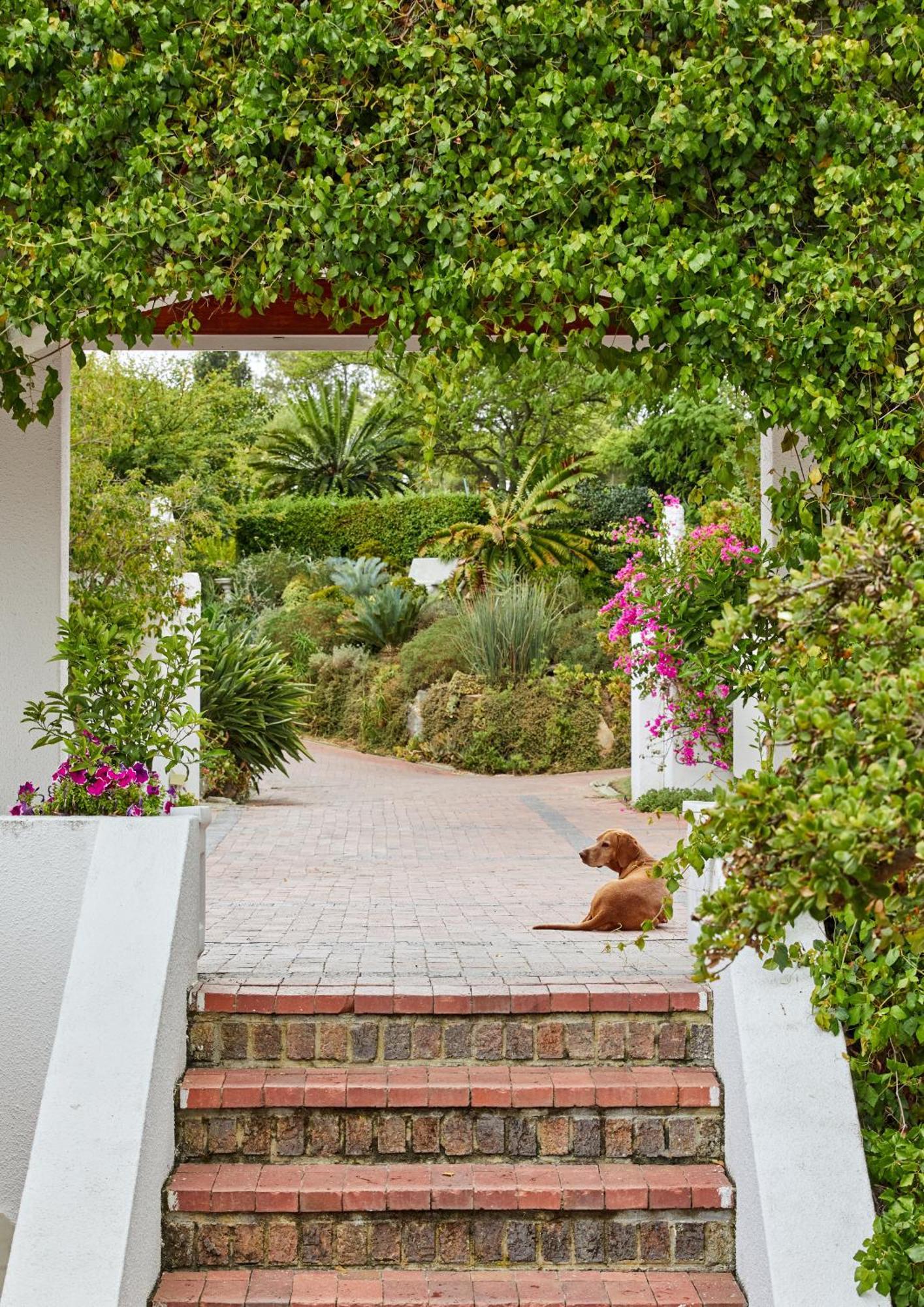 Deux Freres Wine Estate & Luxury Villas Stellenbosch Luaran gambar